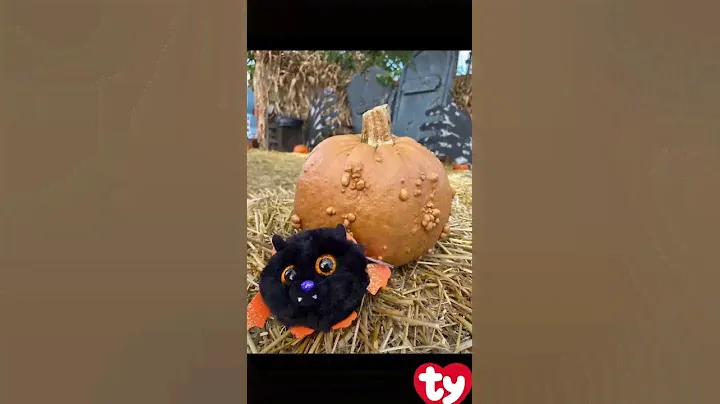 Halloween photo shoot!
