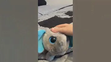 Beanie boos elephant