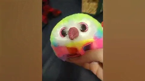 Ty Puffies Owen shares my birthday birthday review special