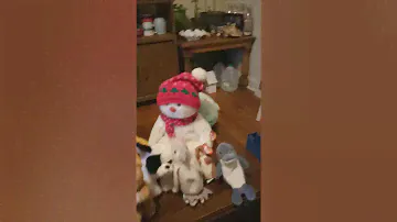 1993-2017 TY beanie babies