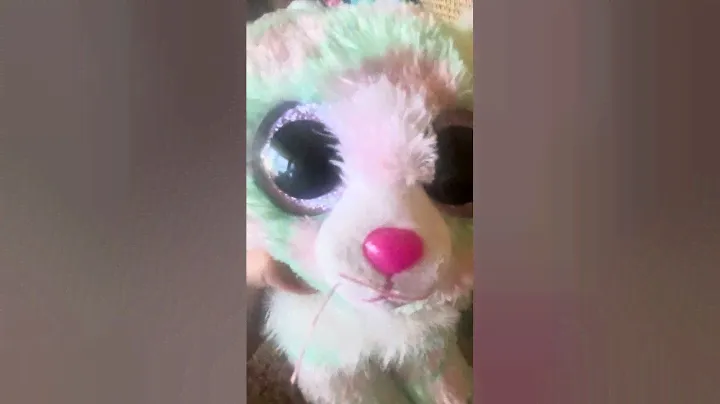 Beanie Boo Collection Tabor Owl Kiki Leona #cats #collection #toys #beaniebaby #ty