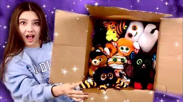 *SPOOKY* 2023 BEANIE BOO HAUL