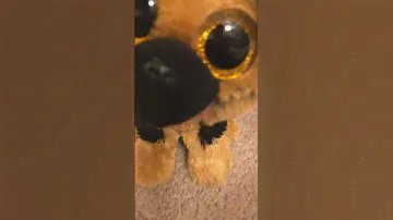 Beanie Boo: Spirit is lonely