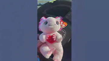 LOCKY #valentine #axolotl #beaniebellies #beaniebaby