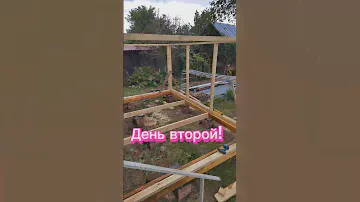 30 сентября 2024 г.