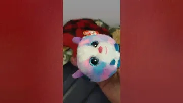 TY puffies beanie babies dolls