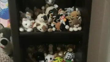 My Ty Beanie Baby Collection 2022!