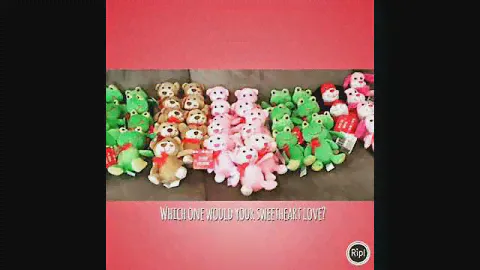 Valentine's Day Stuffed Animals