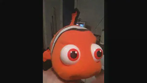 Nemo
