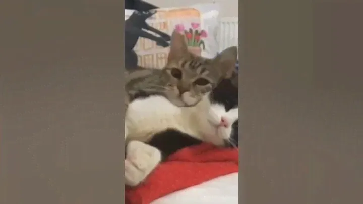 Ты мягкая 😊