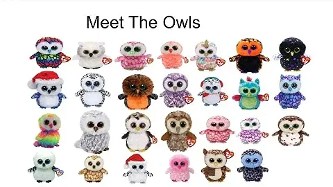 Happy Ty Tree Dwellers Day  2021  Meet the Owls