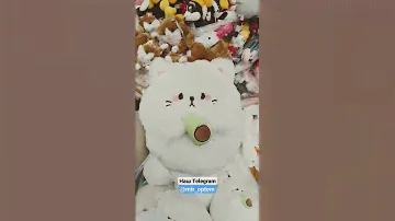 Кот с авокадо. Для заказа пишите в Telegram 📲 #деньги #оптом #товары #тренды #игрушки #товарка