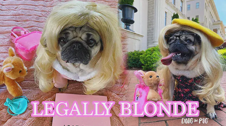 Legally Blonde - Doug The Pug