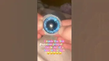 New trendy toy? /j 😮😮 @BeanieBooSafari #tybeanieboos #beanieboo #fidgettoy #poppets