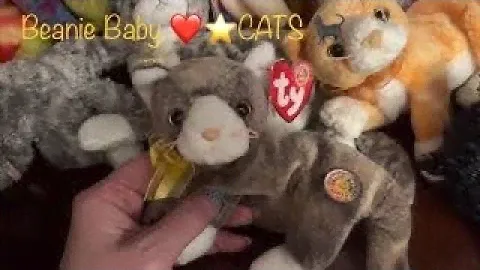 ⭐️ Beanie Baby Babies ❤️ CAT Collection 🐈KITTIES!!! 🐈‍⬛3rd vid of our Super Cute Cats!