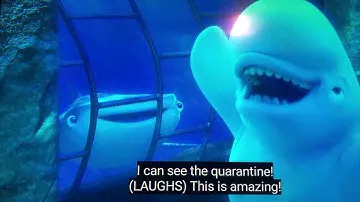 Finding Dory Echolocation