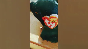 my new beanie boo eats candy