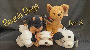 Beanie Baby Dogs (Part 3) What are our 1990s vintage Beanie Babies worth in 2020 & 2021?