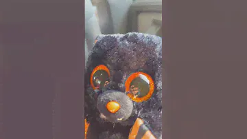 New Halloween beanie boo ￼
