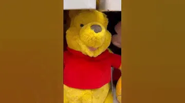 Angry Winnie the Pooh Plush