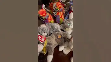 All the CATS!! #beaniebabies #cats #comingsoon #trailer
