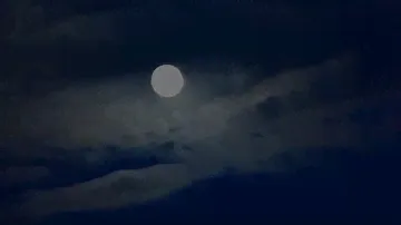 Дикая Вода.. Ты Как я.. 🌸🌸🌸