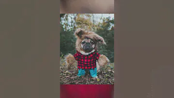 Doug’s Best Halloween Looks!