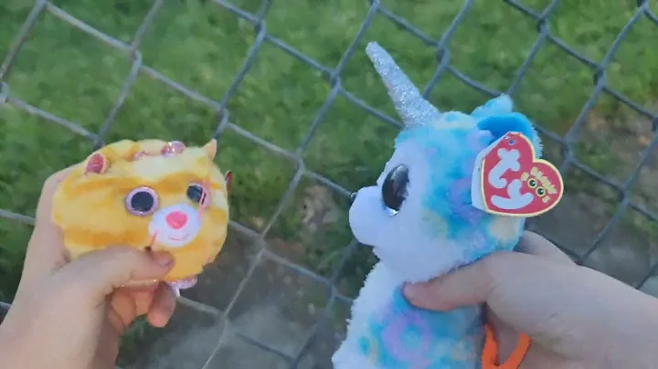 Beanie Boos глазастики ty, как выжить в парке