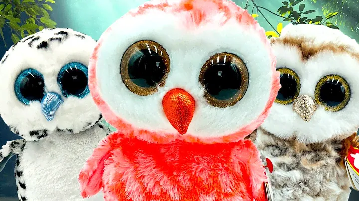 Beanie Boo Owl Collection They Are All So Cute!  Vol 2