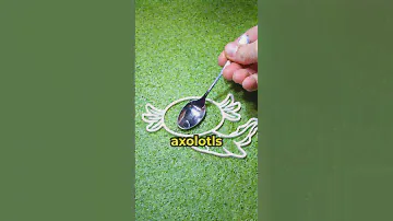 Why I don't Release my Axolotl  🔐