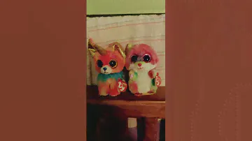 New beanie boos 16$
