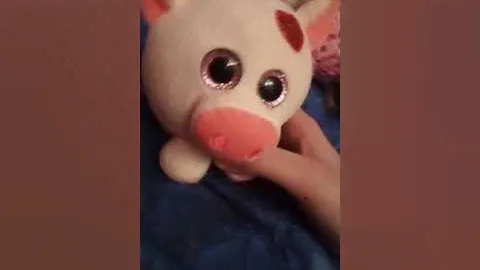 Мои игрушки TY beanie boos