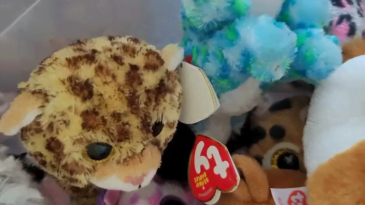 Beanie Boos глазастики ty, жизнь глазастиков в коробке