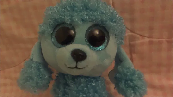 Mandy the Poodle 2017~Beanie Boo #120