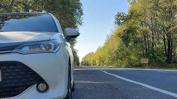 филдер замена пружин на усиленные