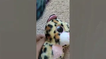 просто красота