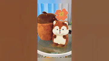 So cute 🥰 👀🐼🐩🐶#toys #cute #panda #plush